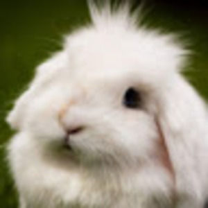 Meet your Posher, Mina